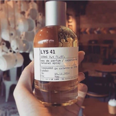 Lys 41 