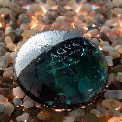 Aqva Pour Homme