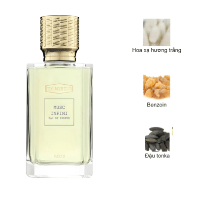 Musc Infini Ex Nihilo