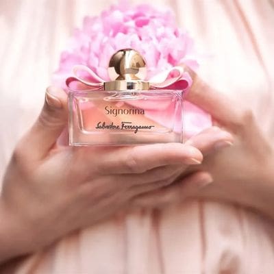 Signorina EDP