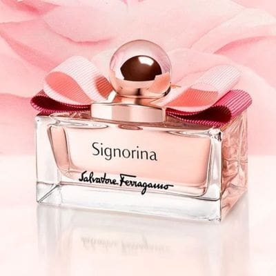 Signorina EDP