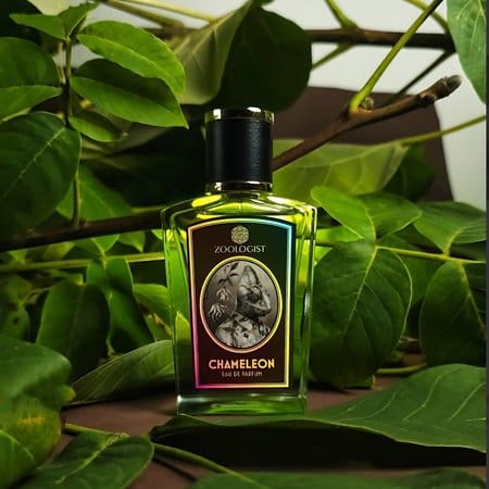 Chameleon