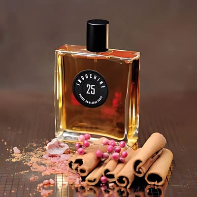 25 Indochine