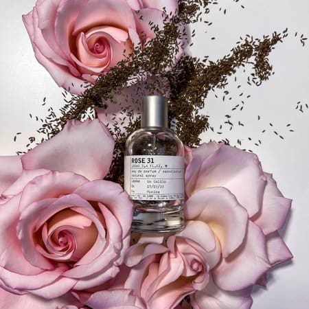 Rose 31