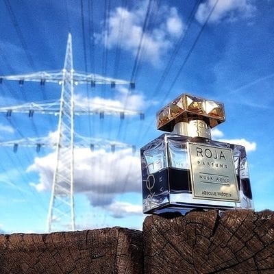 Musk Aoud Absolue Précieux
