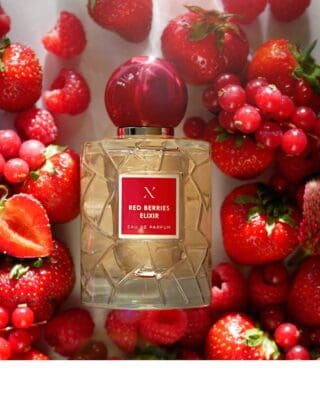 Red Berries Elixir