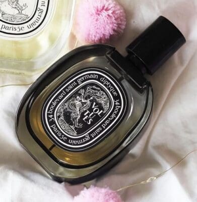 Volutes EDP