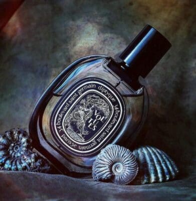Volutes EDP