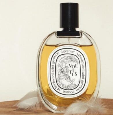 Volutes EDT