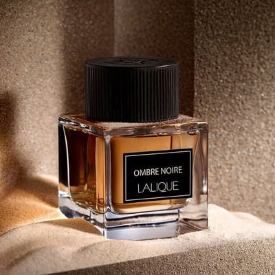 ombre noir 3