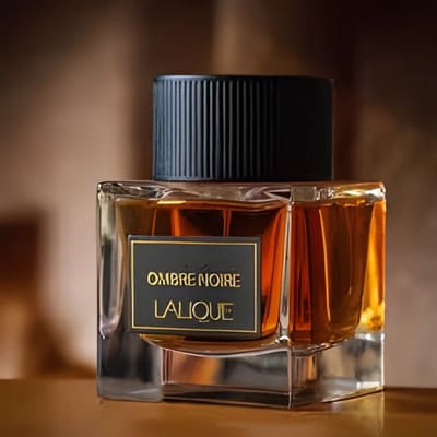 ombre noir