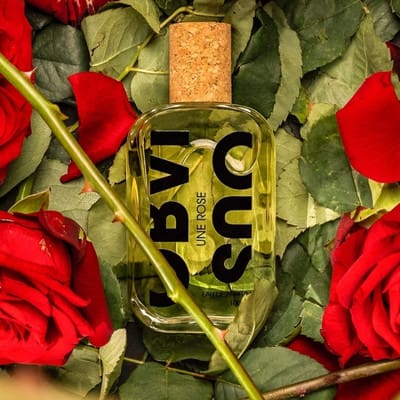 Une Rose 