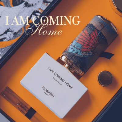 I Am Coming Home