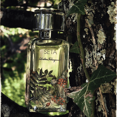 Foreste Di Seta